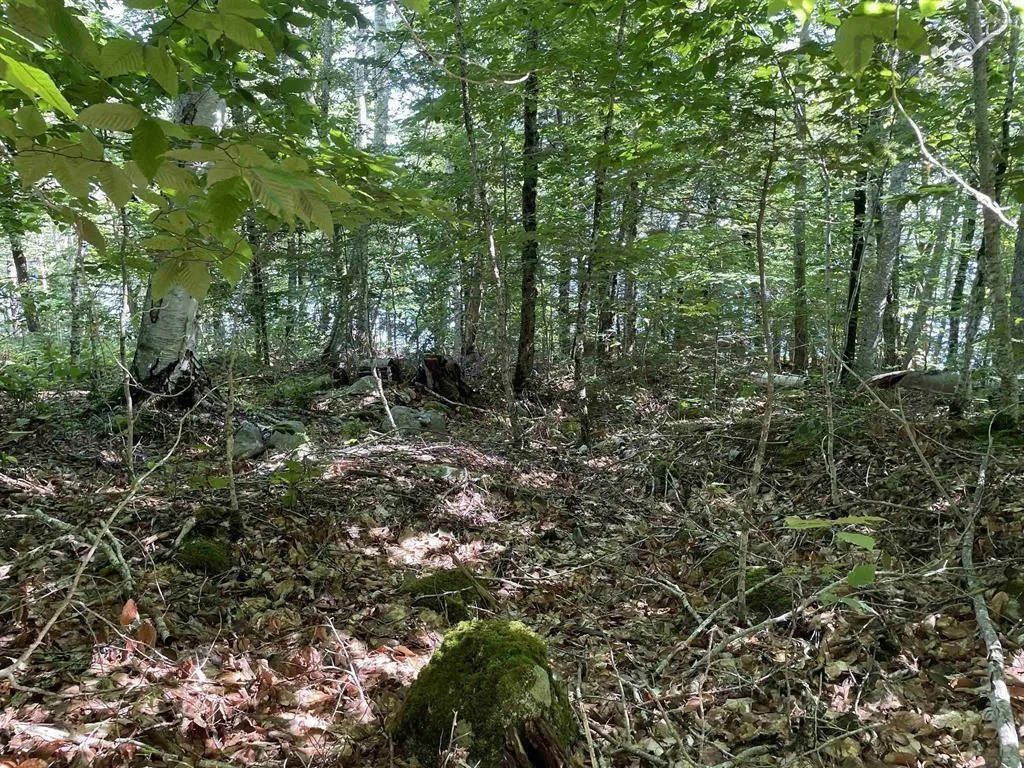 Lot 13a Natural Retreats Street, Henleys Point Ns B4v 8t8, ,Land,For Sale,Natural Retreats,202506711