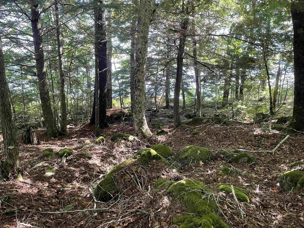Lot 13a Natural Retreats Street, Henleys Point Ns B4v 8t8, ,Land,For Sale,Natural Retreats,202506711