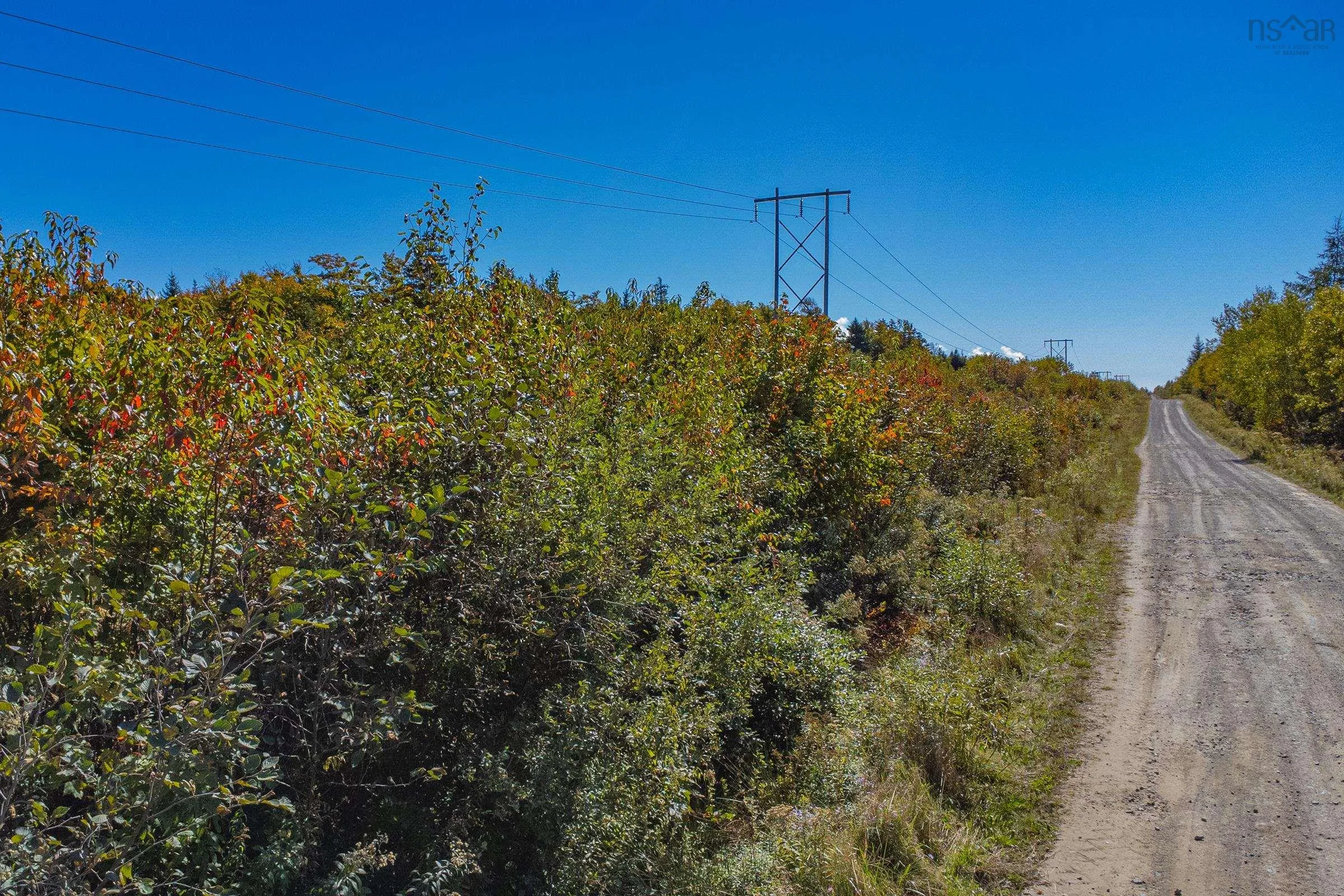 710 Service Road, Grosses Coques Ns B0w 1m0, ,Land,For Sale,Service,202423925