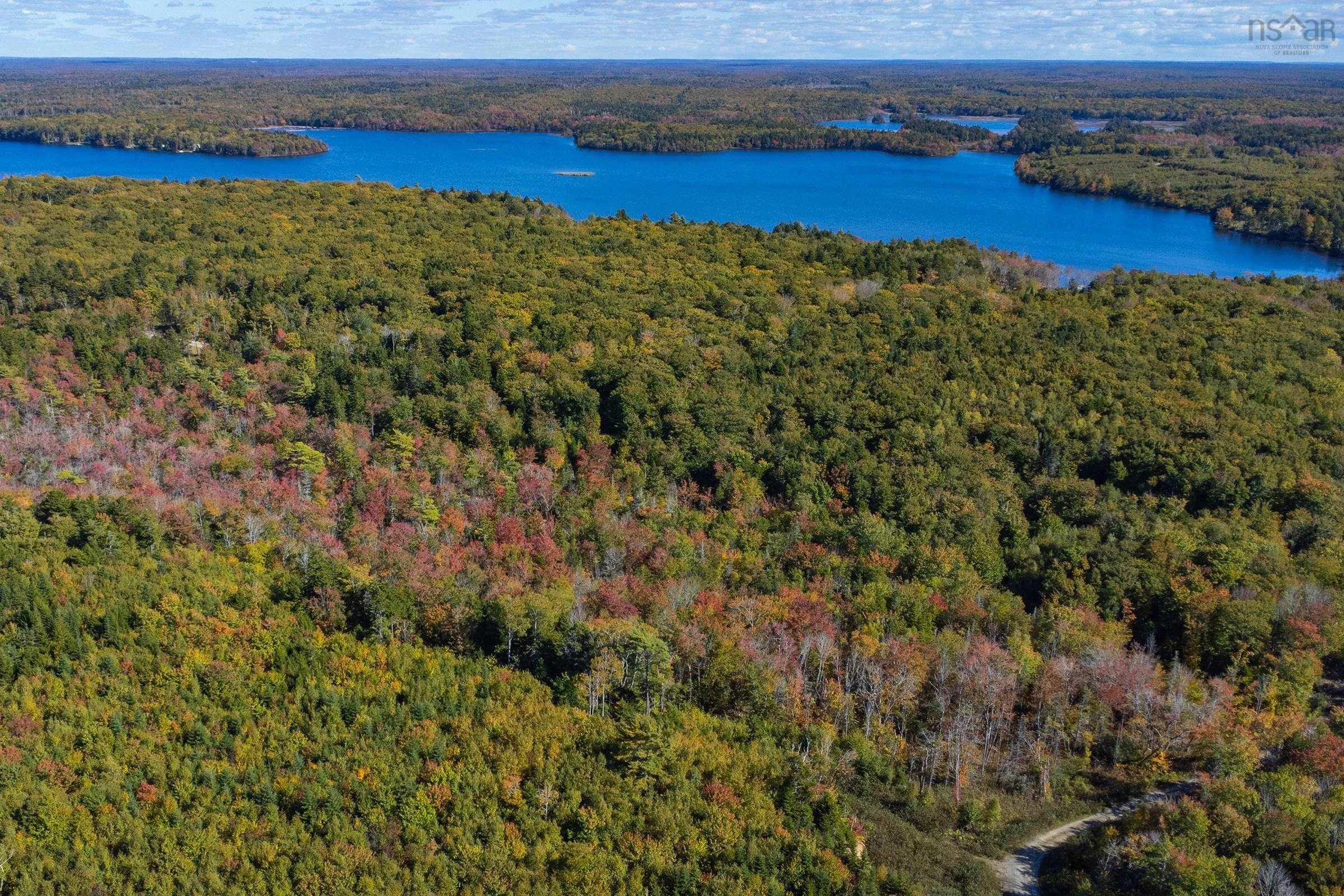 710 Service Road, Grosses Coques Ns B0w 1m0, ,Land,For Sale,Service,202423925