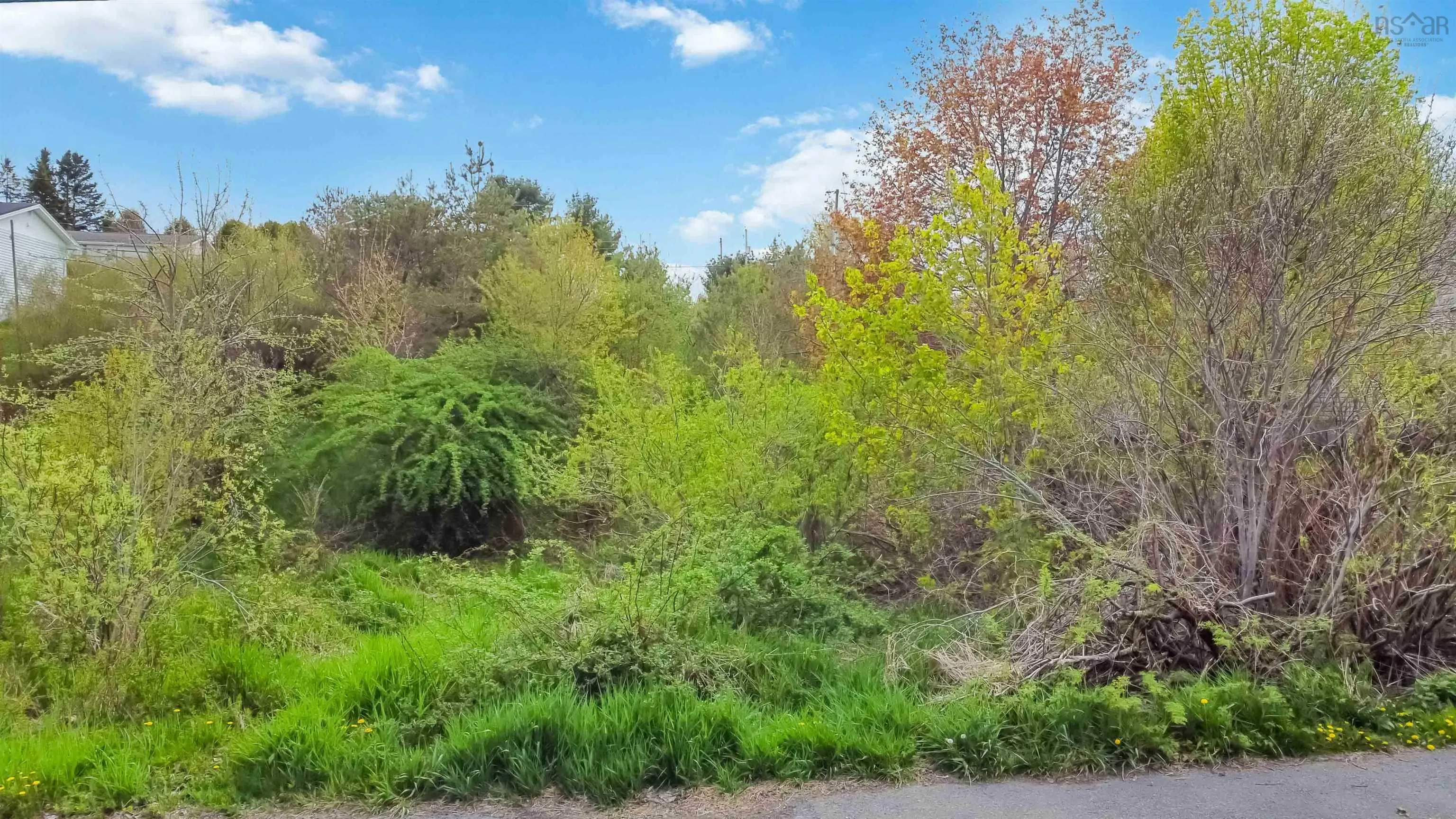 Rand Street Lot 6, Hantsport Ns B0p 1p0, ,Land,For Sale,Rand,202411000