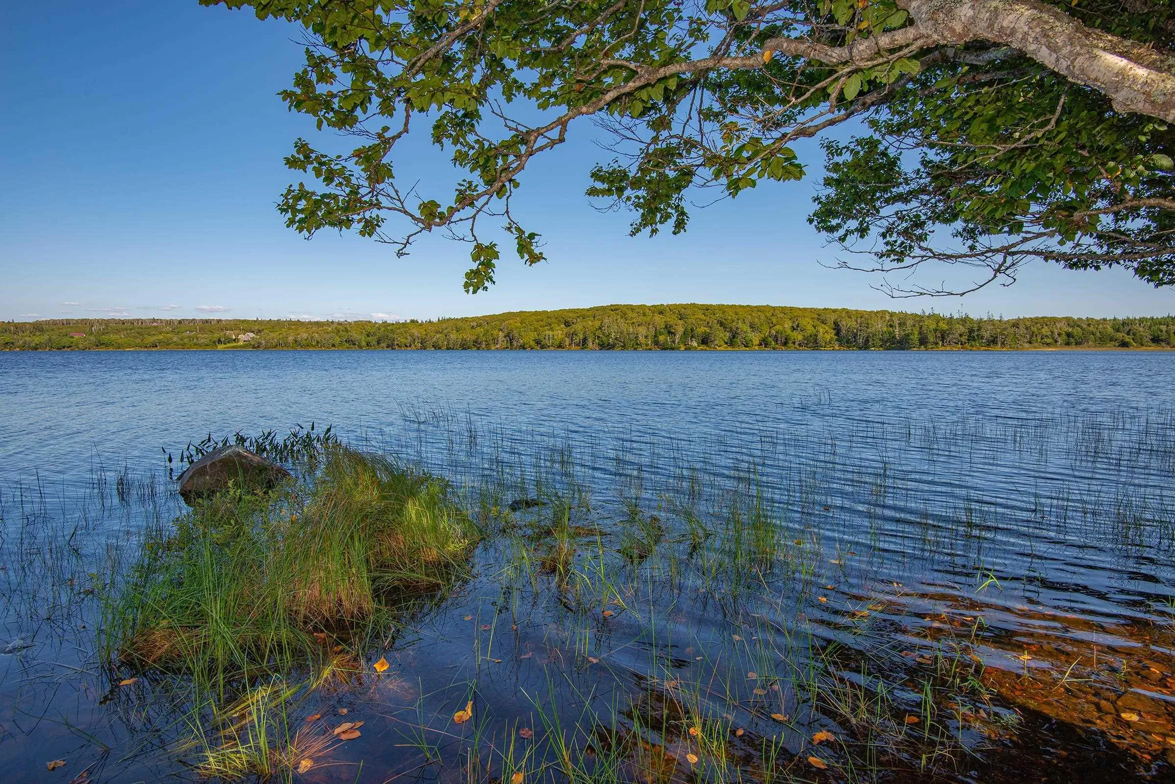 Lot Highway 1, Port Maitland Ns B5a 5t3, ,Land,For Sale,Highway 1,202400696