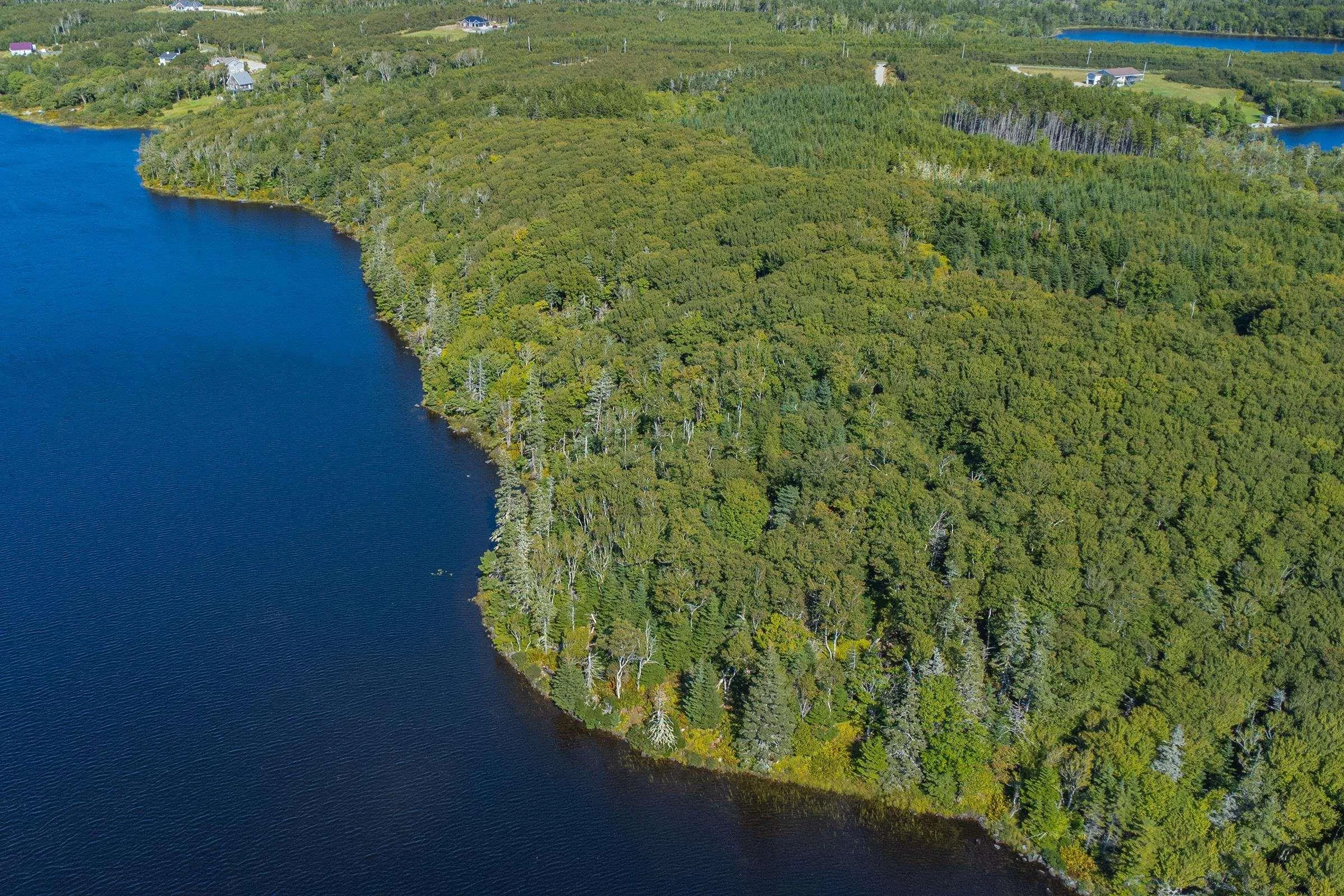 Lot Highway 1, Port Maitland Ns B5a 5t3, ,Land,For Sale,Highway 1,202400696