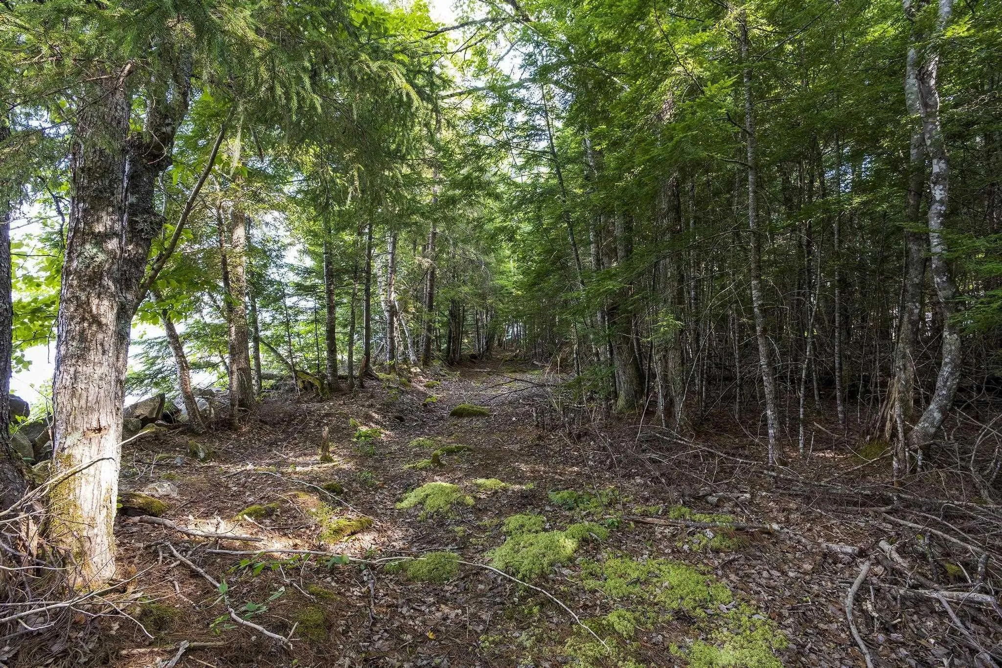 945 High Landing Road, Parkdale, NS B0R 1A0, 3 Bedrooms Bedrooms, ,2 BathroomsBathrooms,Residential,For Sale,High Landing,202519428