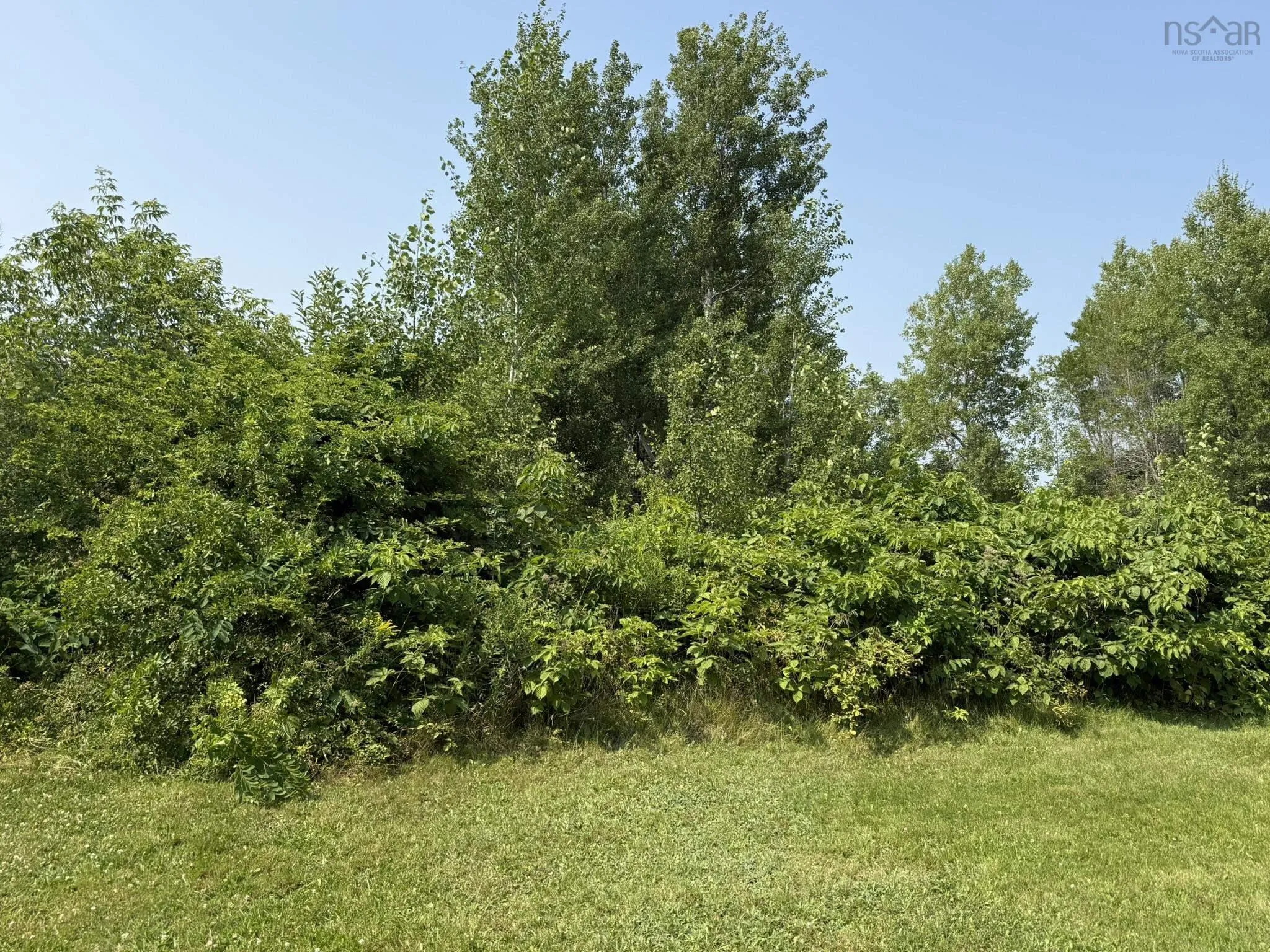 152 Cordova Street, Amherst, NS B4H 2L1, 3 Bedrooms Bedrooms, ,1 BathroomBathrooms,Residential,For Sale,Cordova,202519702