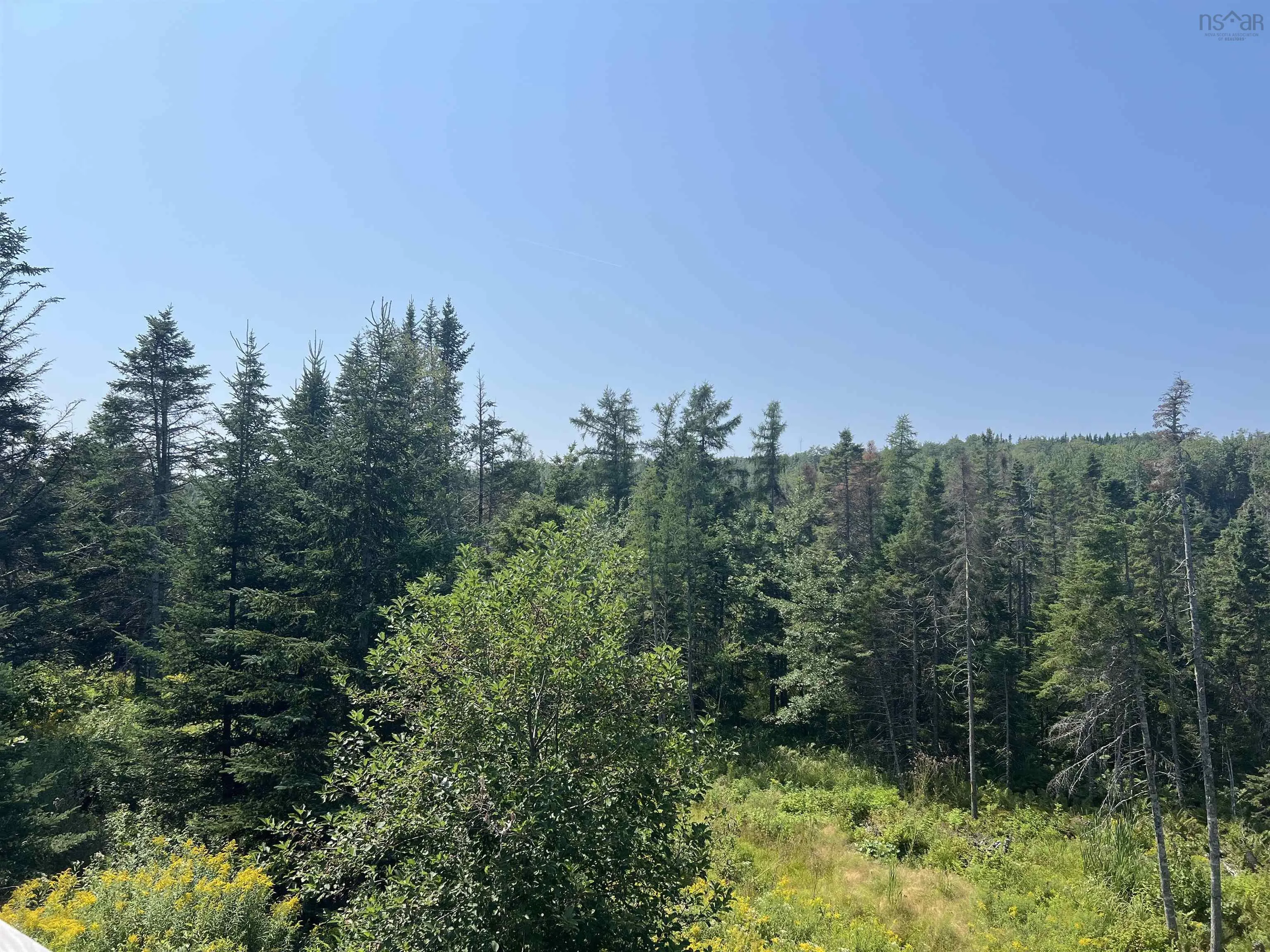 46 Mary Etta Drive, Upper North River, NS B6L 6L6, 2 Bedrooms Bedrooms, ,2 BathroomsBathrooms,Residential,For Sale,Mary Etta,202520426