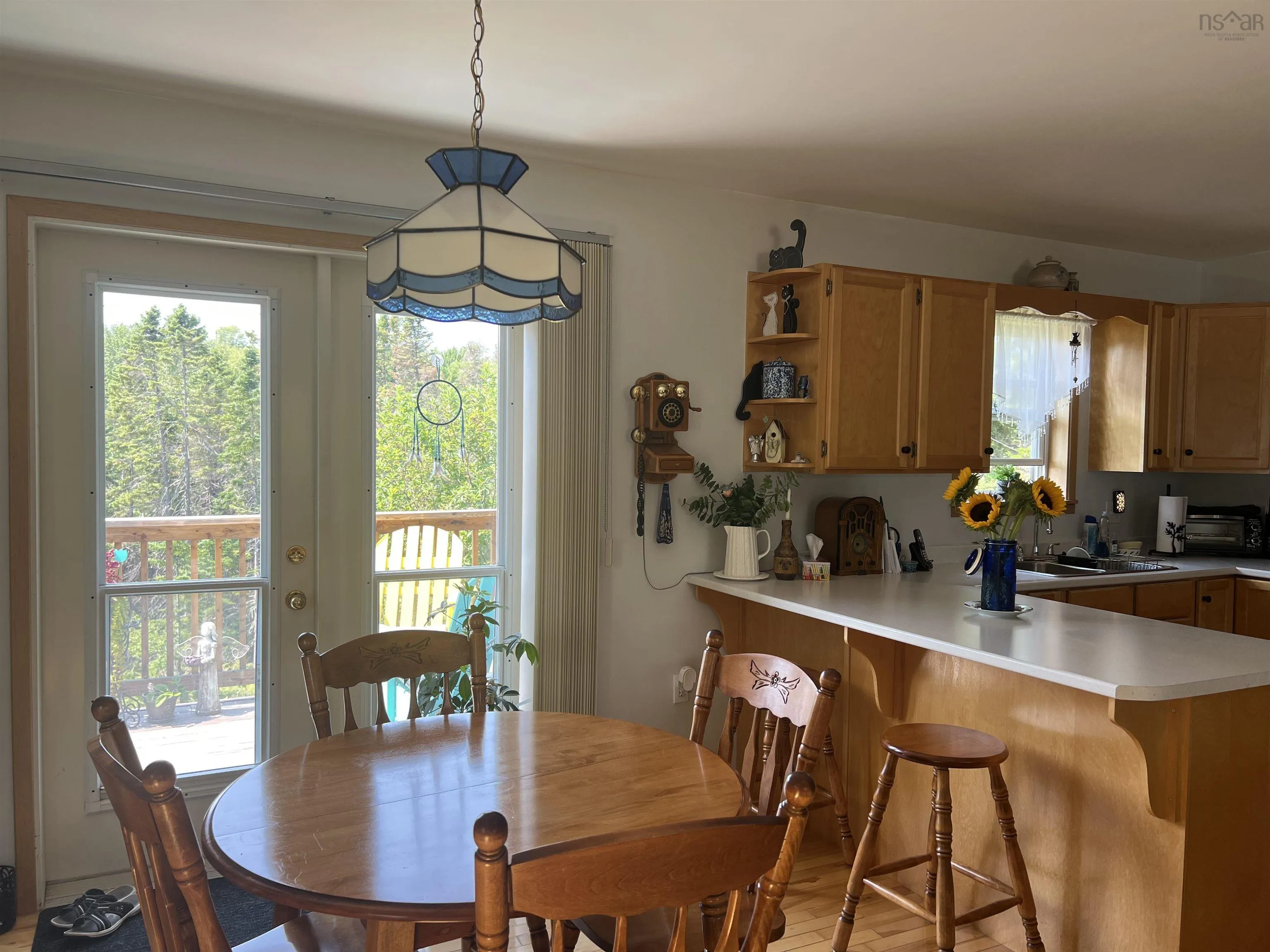 46 Mary Etta Drive, Upper North River, NS B6L 6L6, 2 Bedrooms Bedrooms, ,2 BathroomsBathrooms,Residential,For Sale,Mary Etta,202520426