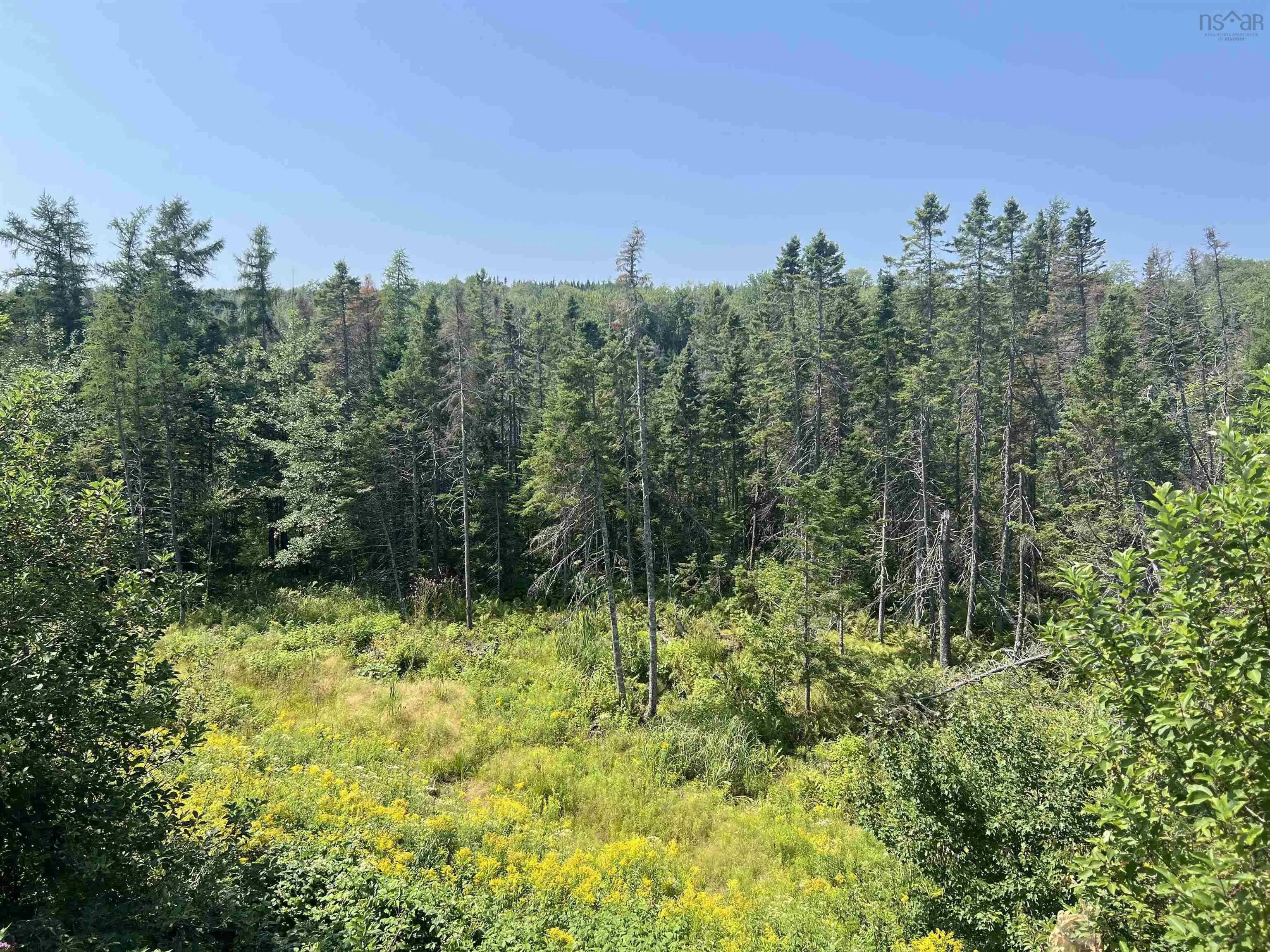 46 Mary Etta Drive, Upper North River, NS B6L 6L6, 2 Bedrooms Bedrooms, ,2 BathroomsBathrooms,Residential,For Sale,Mary Etta,202520426