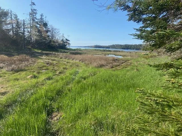 Browns Lane, Birchtown, NS B0T 1W0, ,Land,For Sale,Browns,202513231