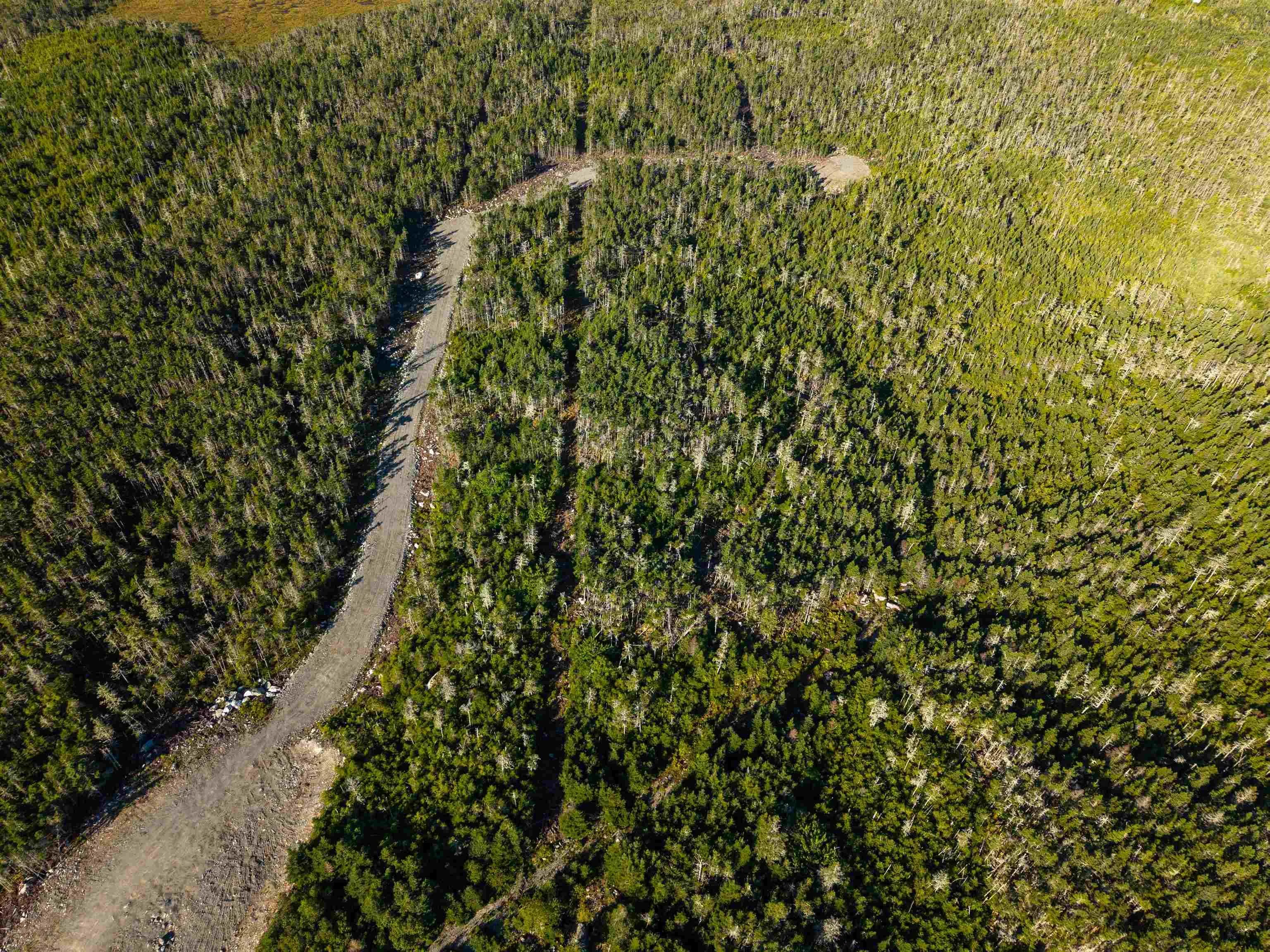 Ostrea Lake Road Lot 108, Pleasant Point, NS B0J 2L0, ,Land,For Sale,Ostrea Lake,202521969
