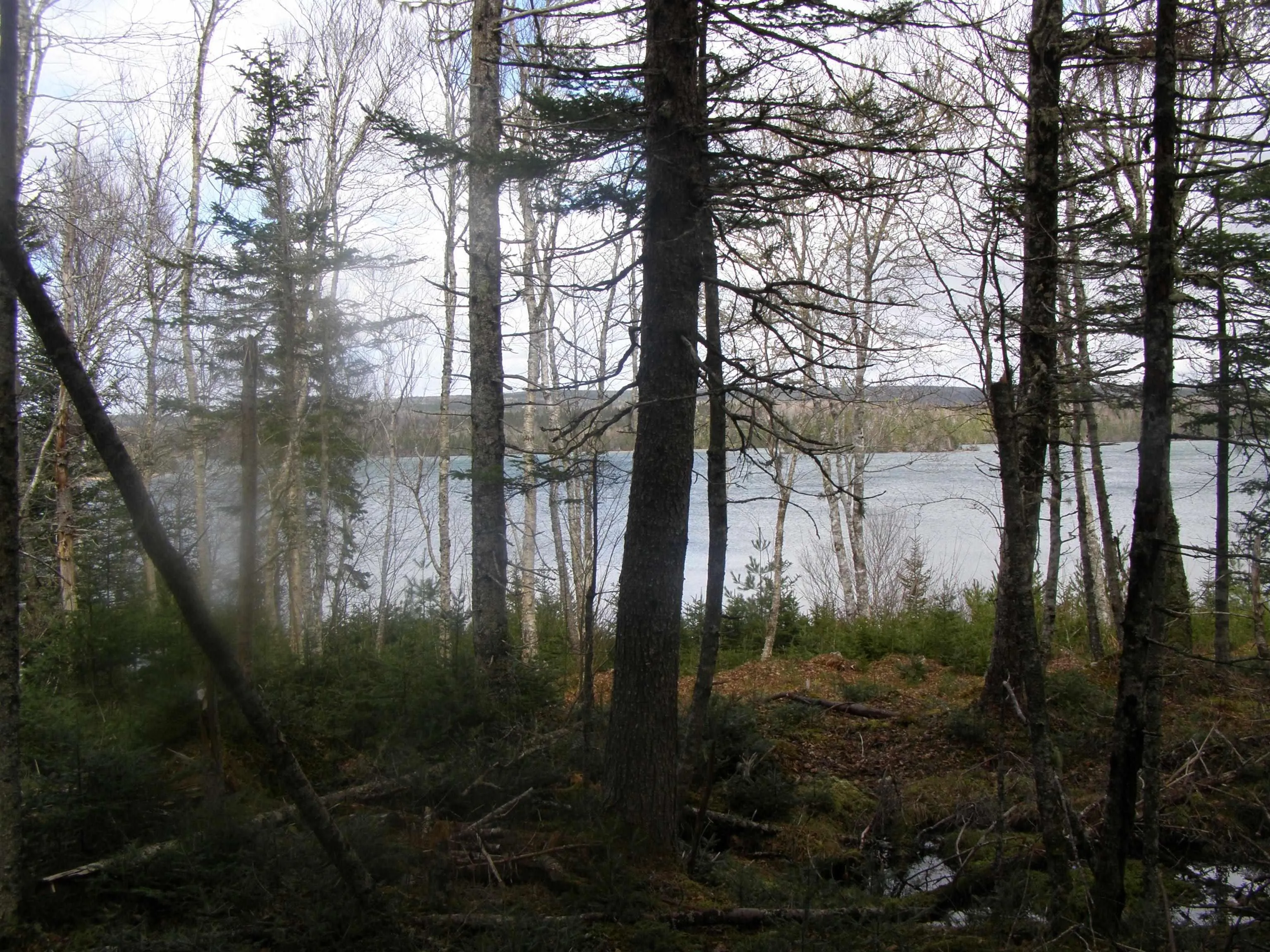 Lot 13 Torus Drive, Mcnabs Cove Ns B0e 3b0, ,Land,For Sale,Torus,202323474