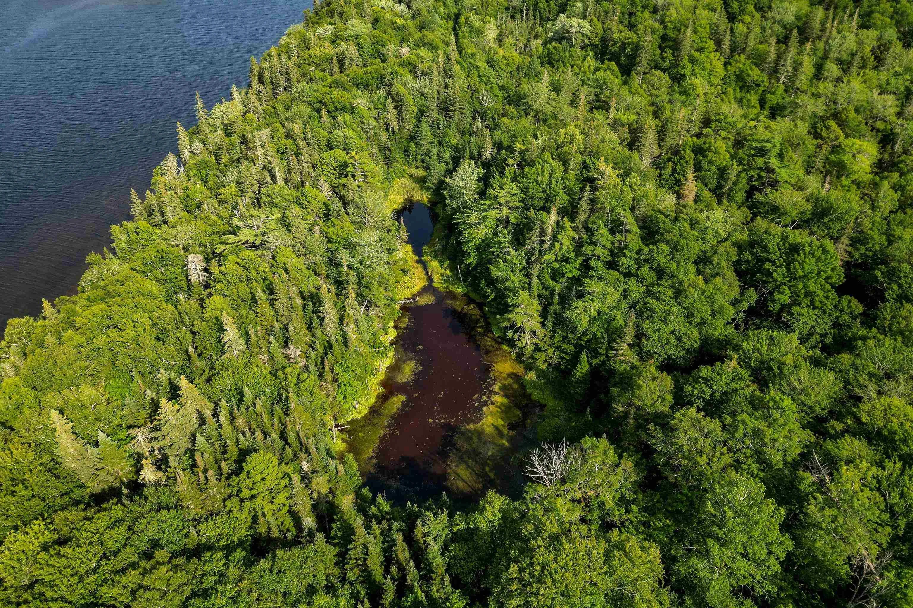 Lot 13 Torus Drive, Mcnabs Cove Ns B0e 3b0, ,Land,For Sale,Torus,202323474