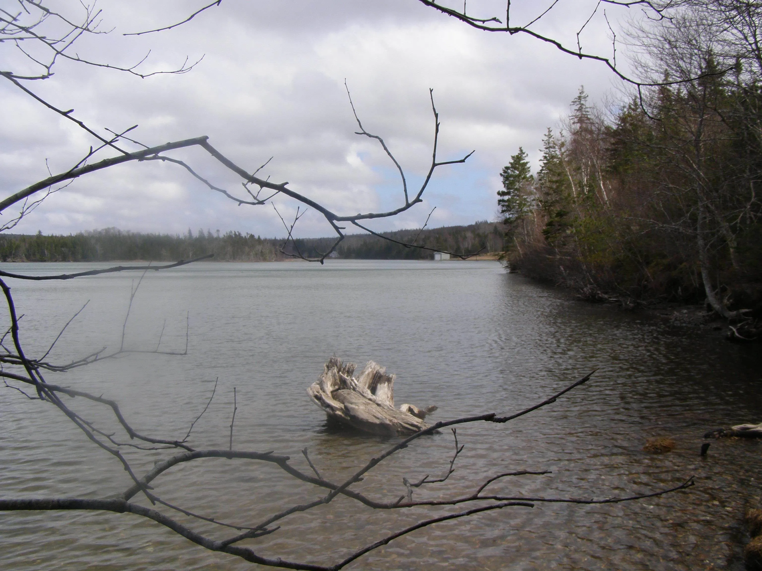 Lot 13 Torus Drive, Mcnabs Cove Ns B0e 3b0, ,Land,For Sale,Torus,202323474