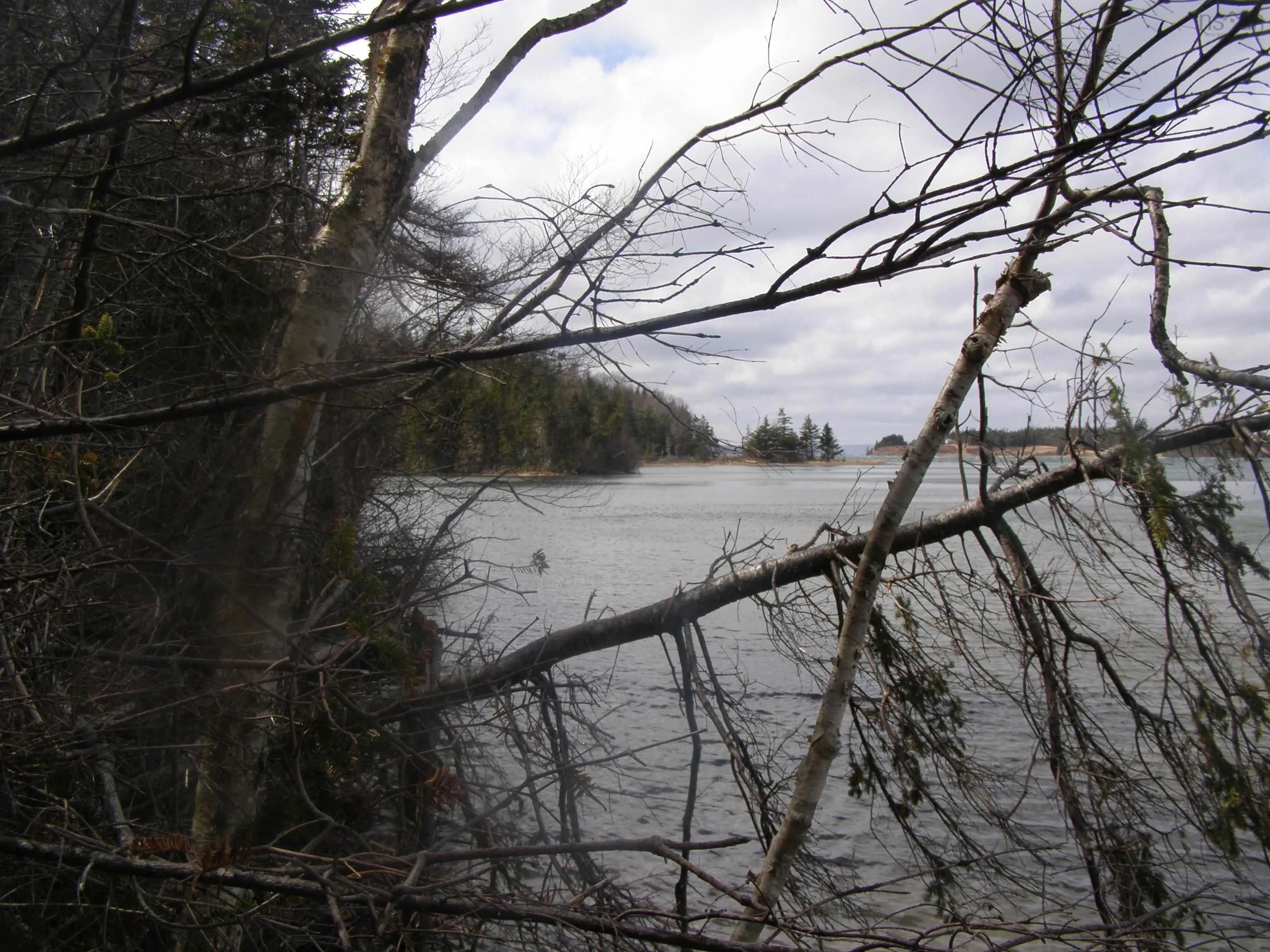 Lot 13 Torus Drive, Mcnabs Cove Ns B0e 3b0, ,Land,For Sale,Torus,202323474