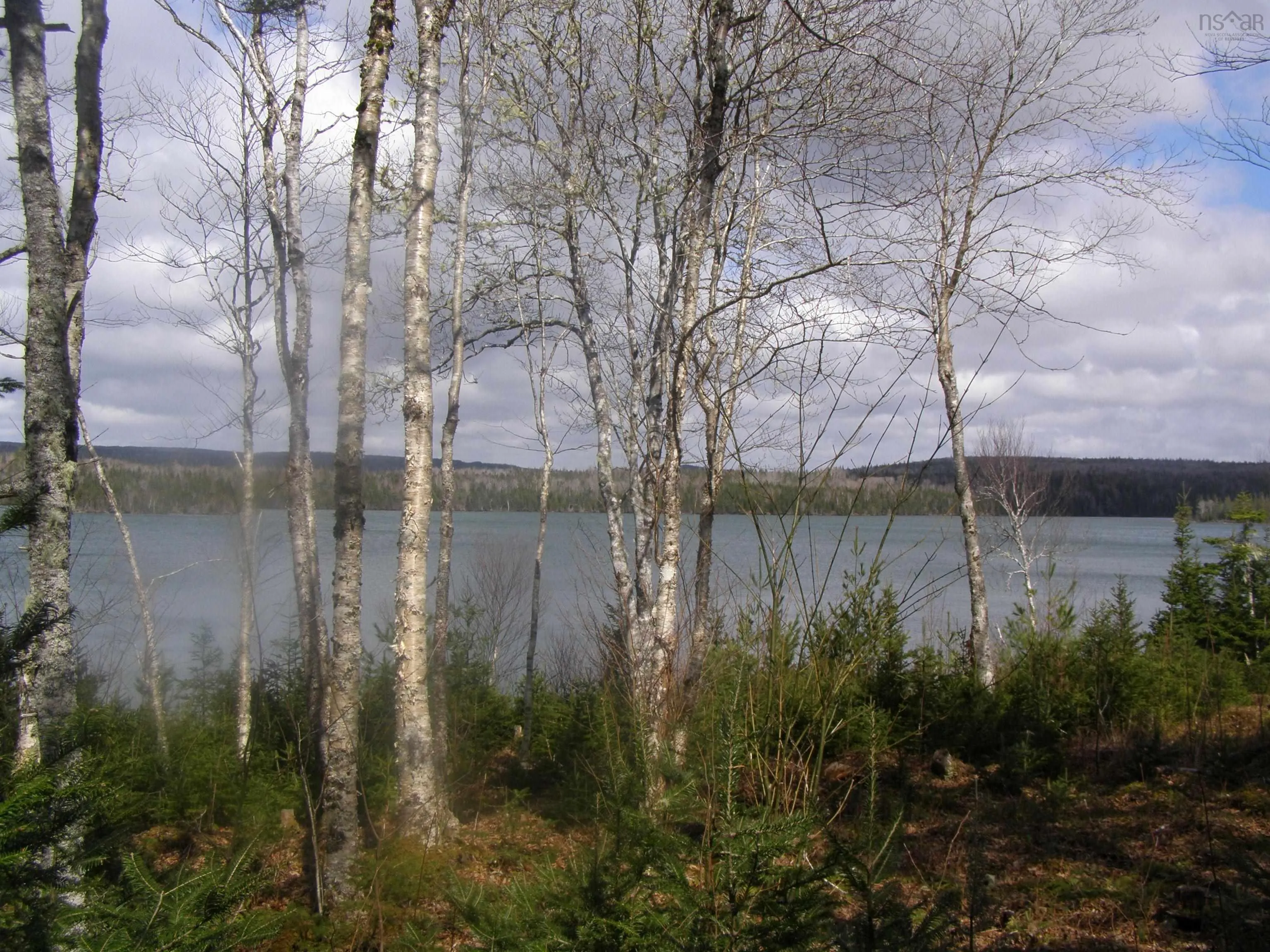 Lot 13 Torus Drive, Mcnabs Cove Ns B0e 3b0, ,Land,For Sale,Torus,202323474
