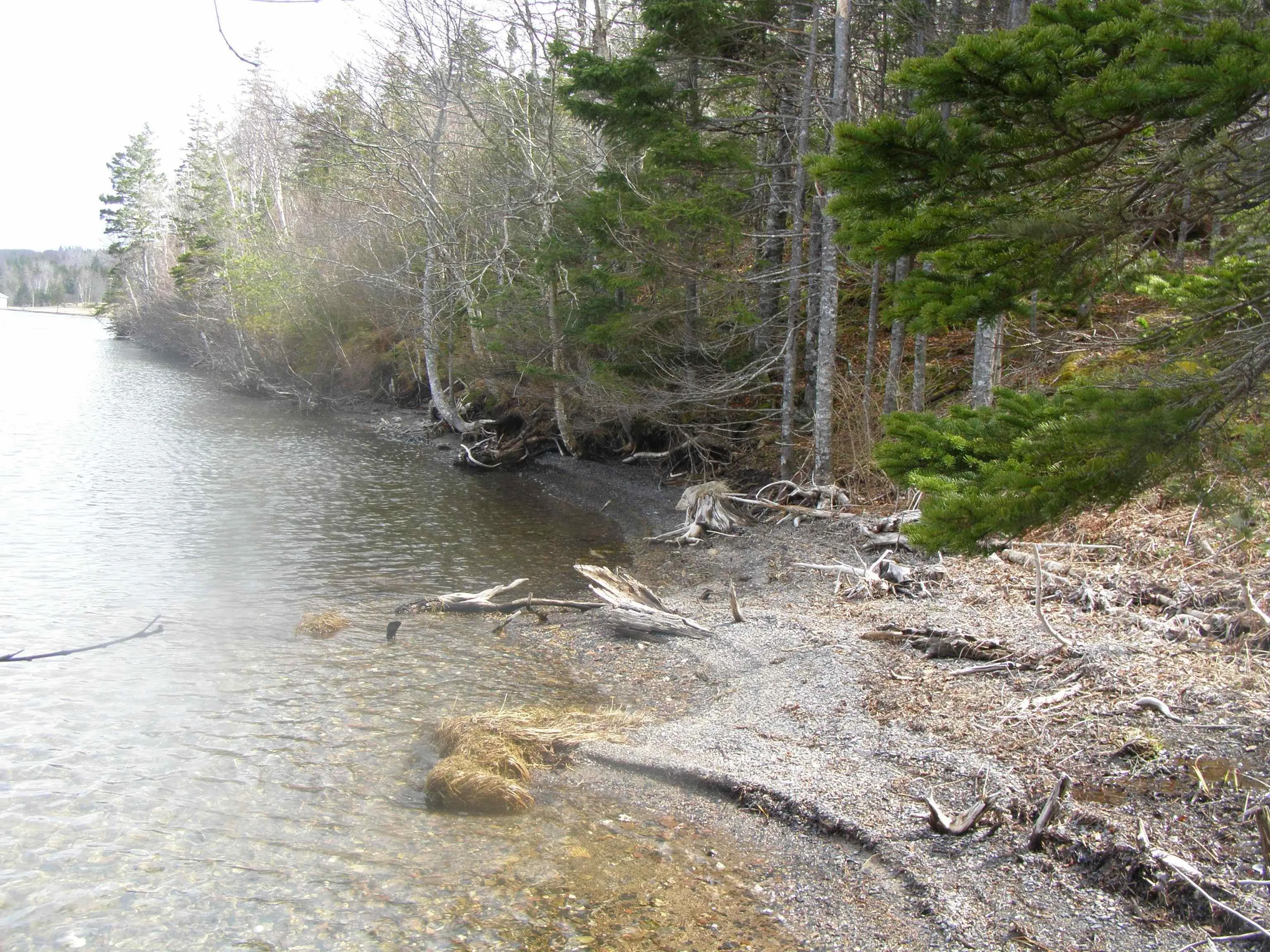 Lot 13 Torus Drive, Mcnabs Cove Ns B0e 3b0, ,Land,For Sale,Torus,202323474