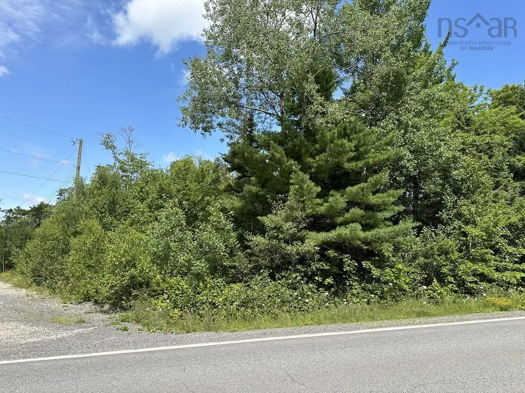 Highway 14 Lot 21, Sherwood, NS B0J 1J0, ,Land,For Sale,Highway 14,202518382
