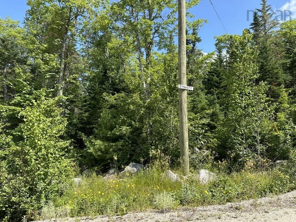 Highway 14 Lot 21, Sherwood, NS B0J 1J0, ,Land,For Sale,Highway 14,202518382