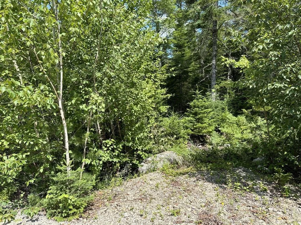 Highway 14 Lot 21, Sherwood, NS B0J 1J0, ,Land,For Sale,Highway 14,202518382