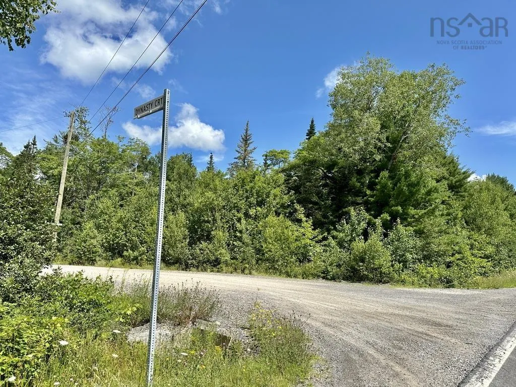 Highway 14 Lot 21, Sherwood, NS B0J 1J0, ,Land,For Sale,Highway 14,202518382