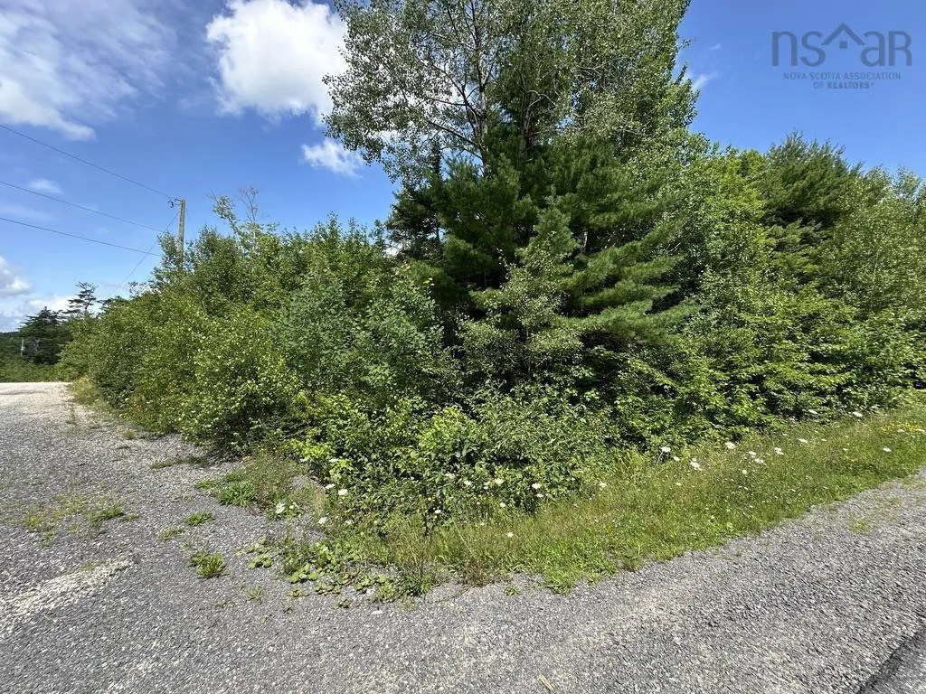 Highway 14 Lot 21, Sherwood, NS B0J 1J0, ,Land,For Sale,Highway 14,202518382