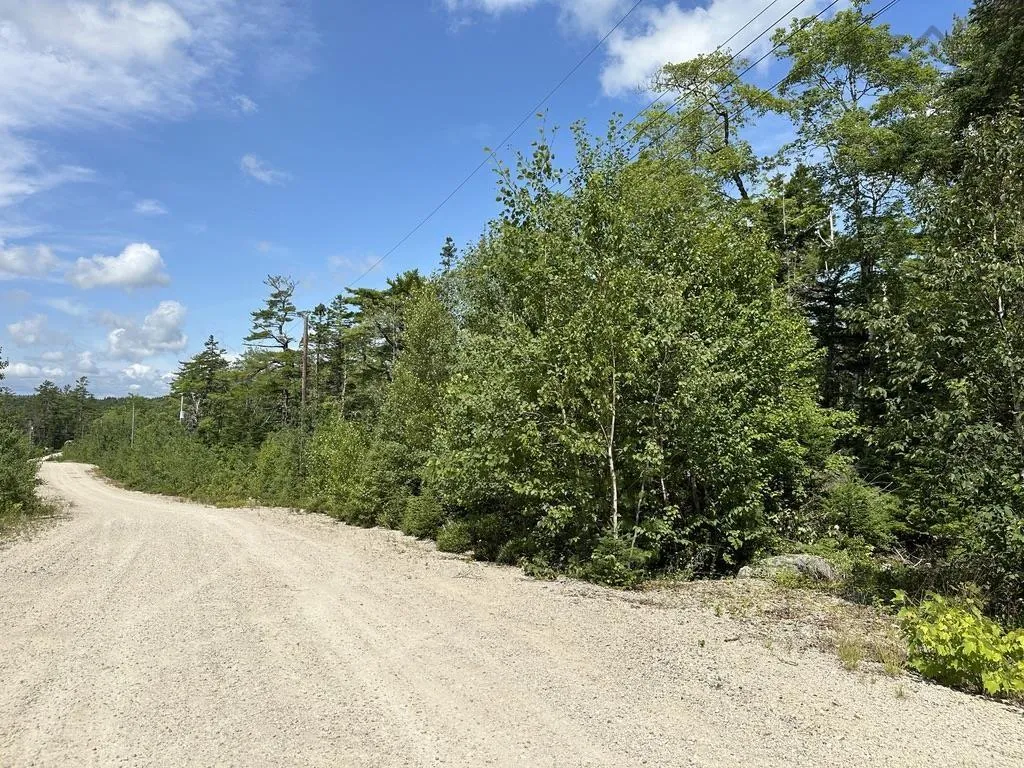 Highway 14 Lot 21, Sherwood, NS B0J 1J0, ,Land,For Sale,Highway 14,202518382