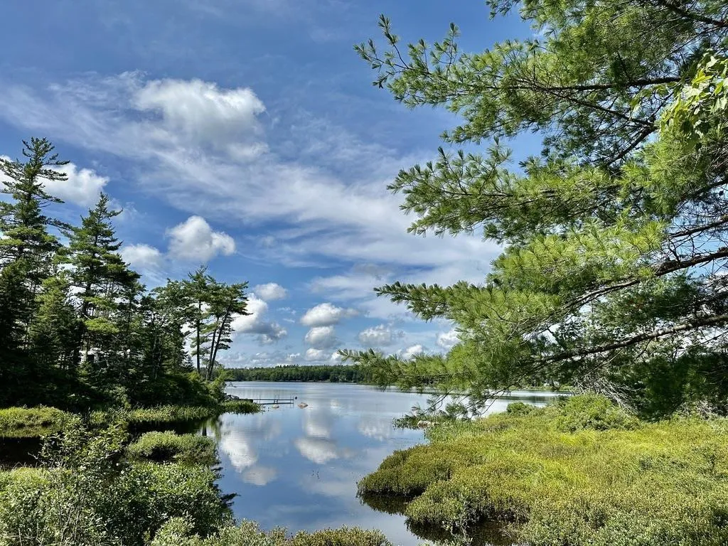 Highway 14 Lot 21, Sherwood, NS B0J 1J0, ,Land,For Sale,Highway 14,202518382