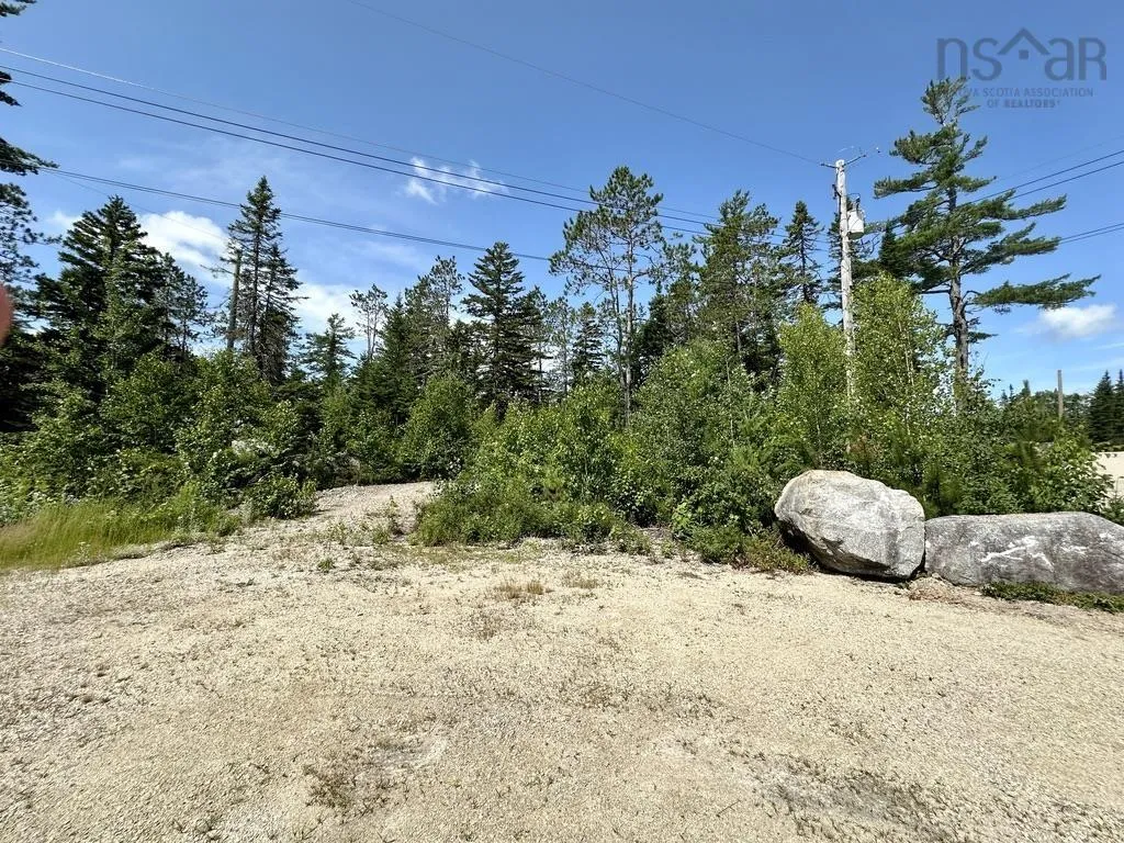 Highway 14 Lot 21, Sherwood, NS B0J 1J0, ,Land,For Sale,Highway 14,202518382