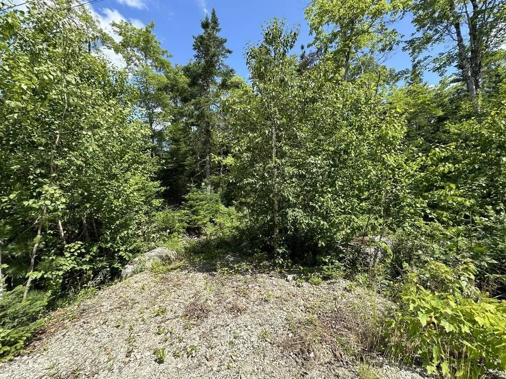 Highway 14 Lot 21, Sherwood, NS B0J 1J0, ,Land,For Sale,Highway 14,202518382
