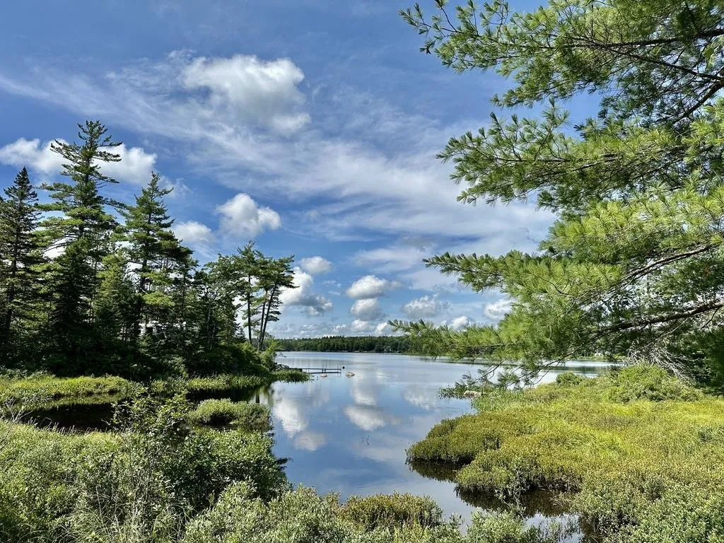Highway 14 Lot 21, Sherwood, NS B0J 1J0, ,Land,For Sale,Highway 14,202518382
