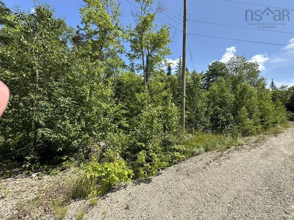 Highway 14 Lot 21, Sherwood, NS B0J 1J0, ,Land,For Sale,Highway 14,202518382