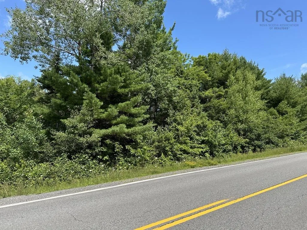 Highway 14 Lot 21, Sherwood, NS B0J 1J0, ,Land,For Sale,Highway 14,202518382