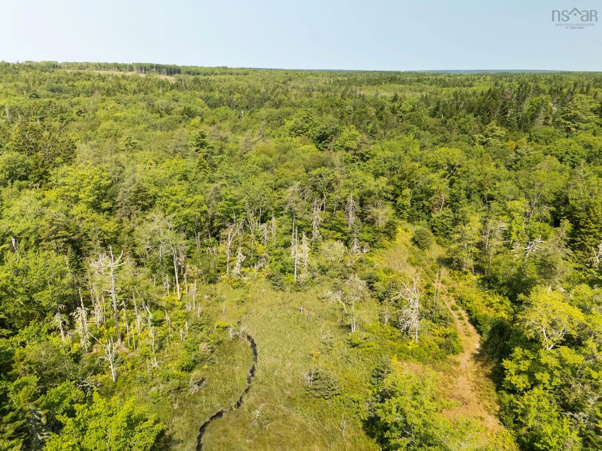 Raynardton Road, Tusket Falls, NS B0W 3M0, ,Land,For Sale,Raynardton,202520407