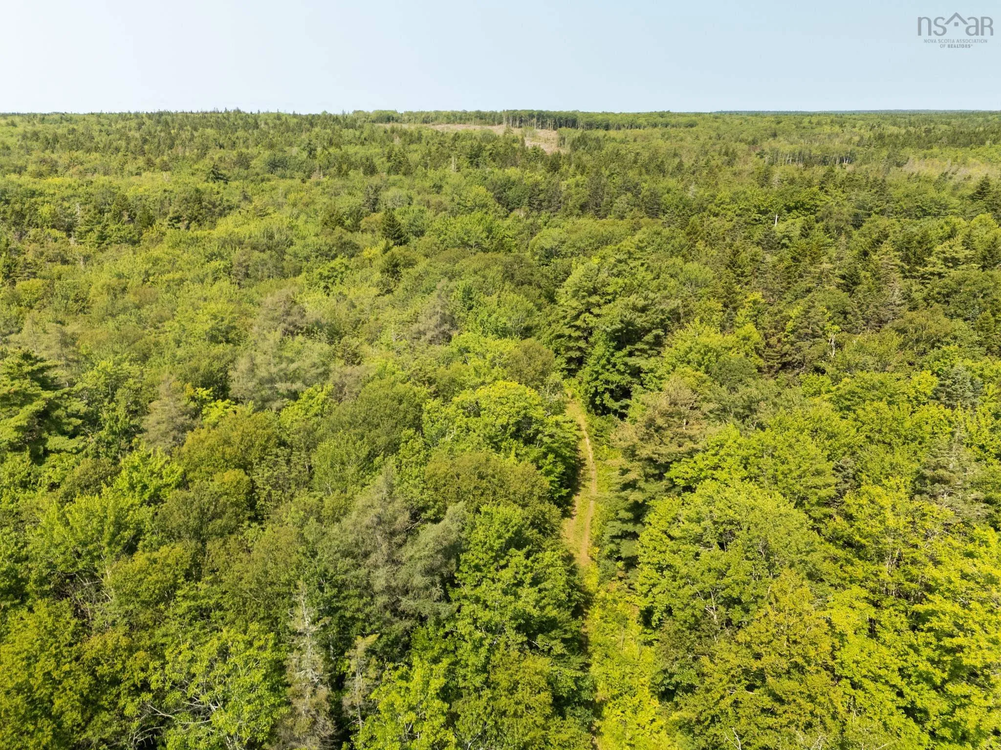 Raynardton Road, Tusket Falls, NS B0W 3M0, ,Land,For Sale,Raynardton,202520407