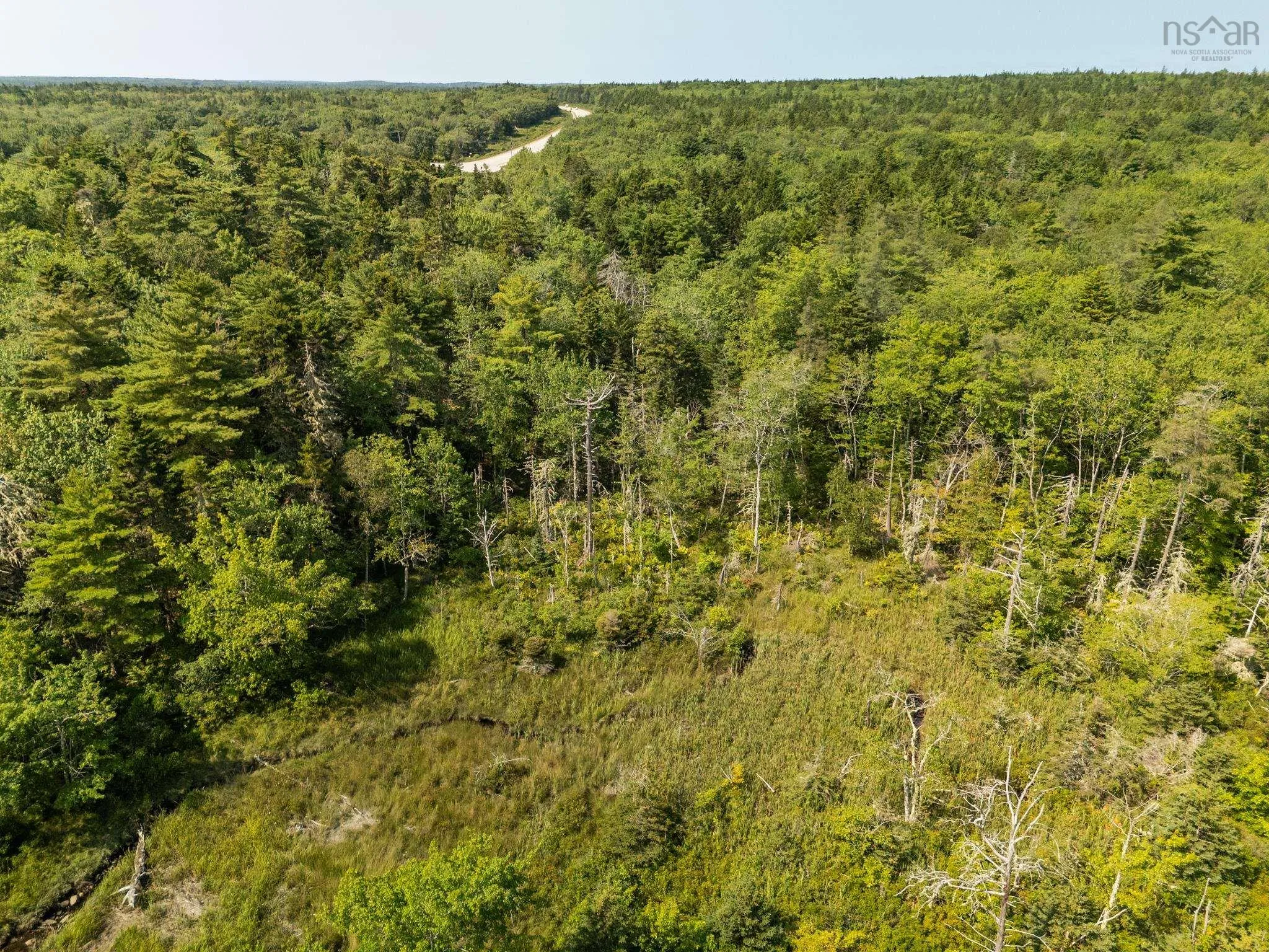 Raynardton Road, Tusket Falls, NS B0W 3M0, ,Land,For Sale,Raynardton,202520407