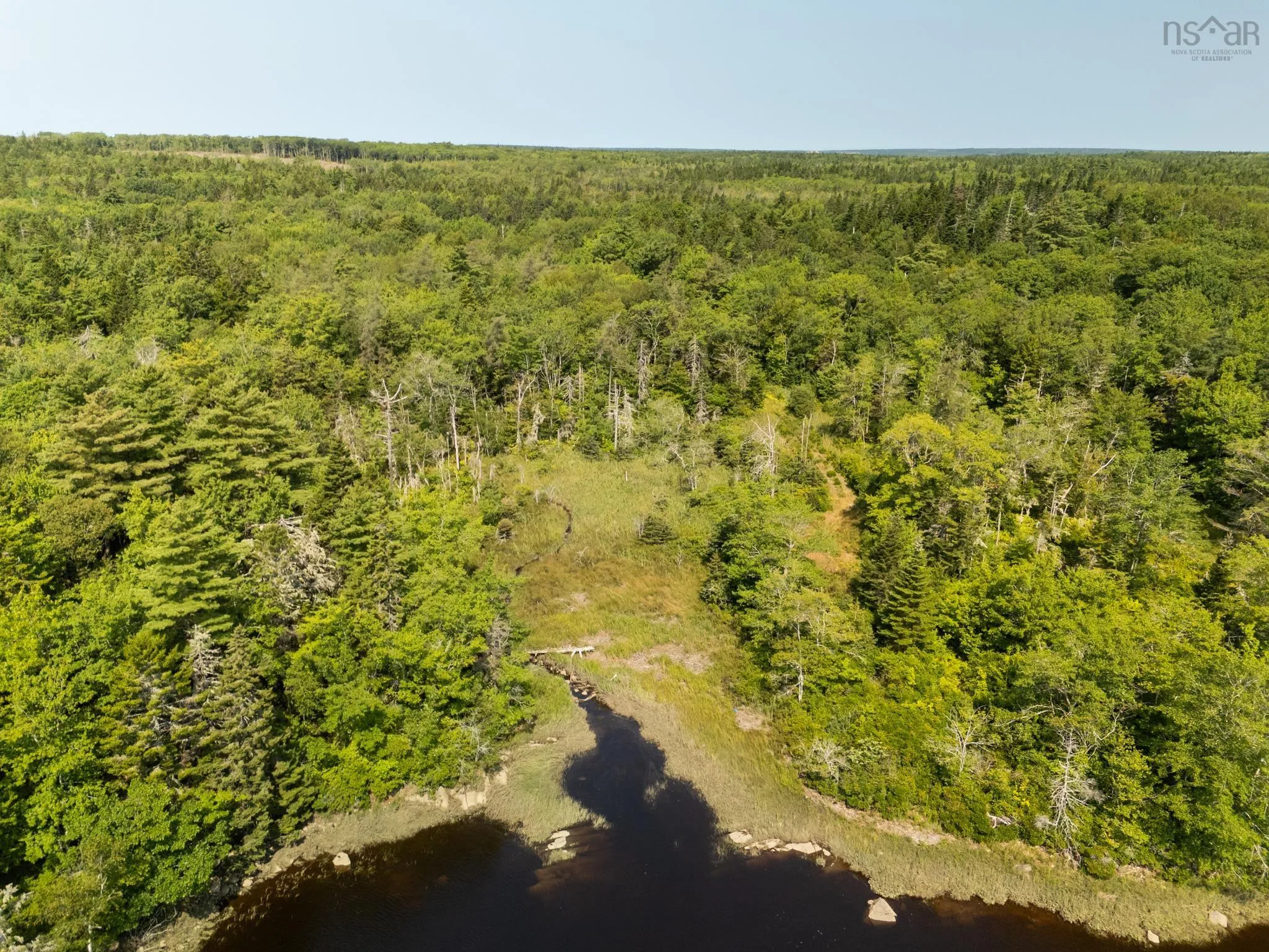 Raynardton Road, Tusket Falls, NS B0W 3M0, ,Land,For Sale,Raynardton,202520407