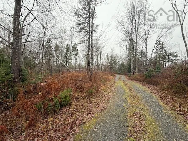 873 Loch Broom Loop Road, Loch Broom, NS B0K 2A0, 2 Bedrooms Bedrooms, ,1 BathroomBathrooms,Residential,For Sale,Loch Broom Loop,202515047