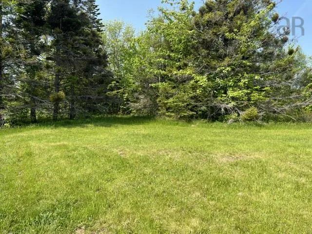 1129 Mckenzie Mountain Road, Litchfield, NS B0V 1A0, ,Land,For Sale,Mckenzie Mountain,202513490