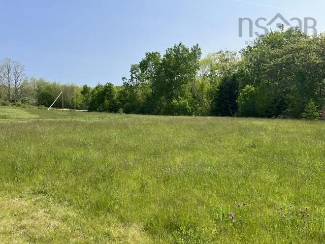 1129 Mckenzie Mountain Road, Litchfield, NS B0V 1A0, ,Land,For Sale,Mckenzie Mountain,202513490