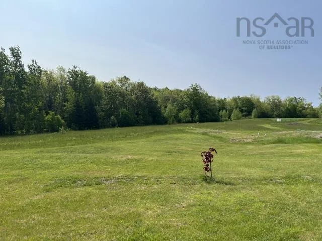 1129 Mckenzie Mountain Road, Litchfield, NS B0V 1A0, ,Land,For Sale,Mckenzie Mountain,202513490