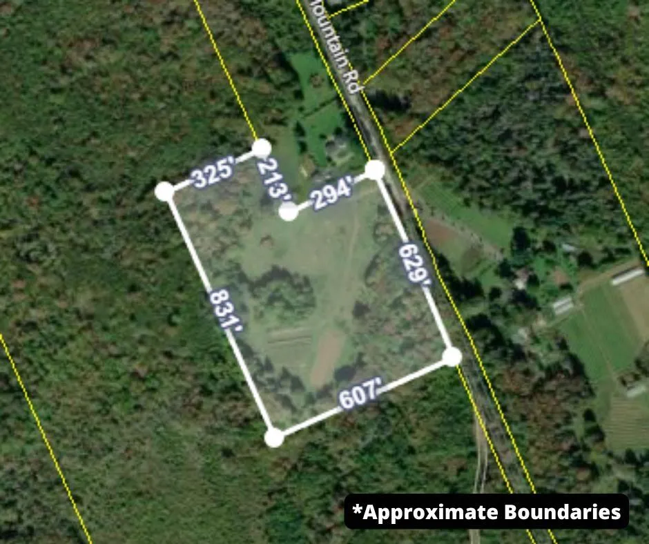 1129 Mckenzie Mountain Road, Litchfield, NS B0V 1A0, ,Land,For Sale,Mckenzie Mountain,202513490