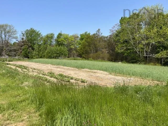 1129 Mckenzie Mountain Road, Litchfield, NS B0V 1A0, ,Land,For Sale,Mckenzie Mountain,202513490