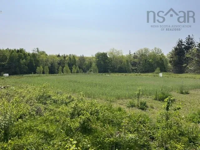 1129 Mckenzie Mountain Road, Litchfield, NS B0V 1A0, ,Land,For Sale,Mckenzie Mountain,202513490