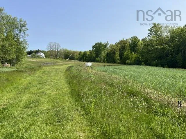 1129 Mckenzie Mountain Road, Litchfield, NS B0V 1A0, ,Land,For Sale,Mckenzie Mountain,202513490
