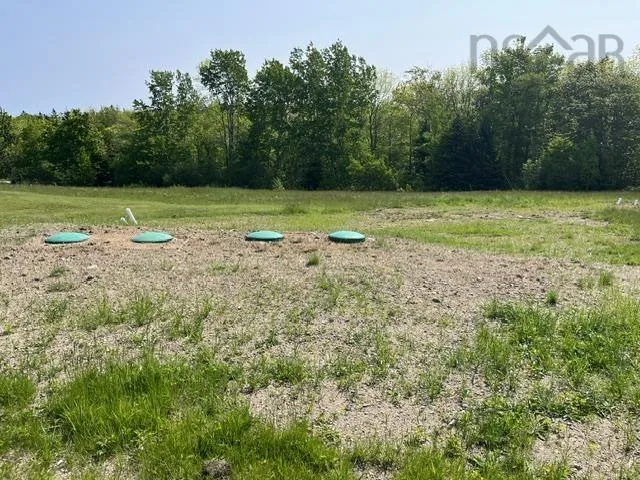 1129 Mckenzie Mountain Road, Litchfield, NS B0V 1A0, ,Land,For Sale,Mckenzie Mountain,202513490