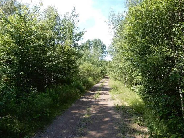 Scotsburn Road, College Grant Ns B0k 1r0, ,Land,For Sale,Scotsburn,202501542