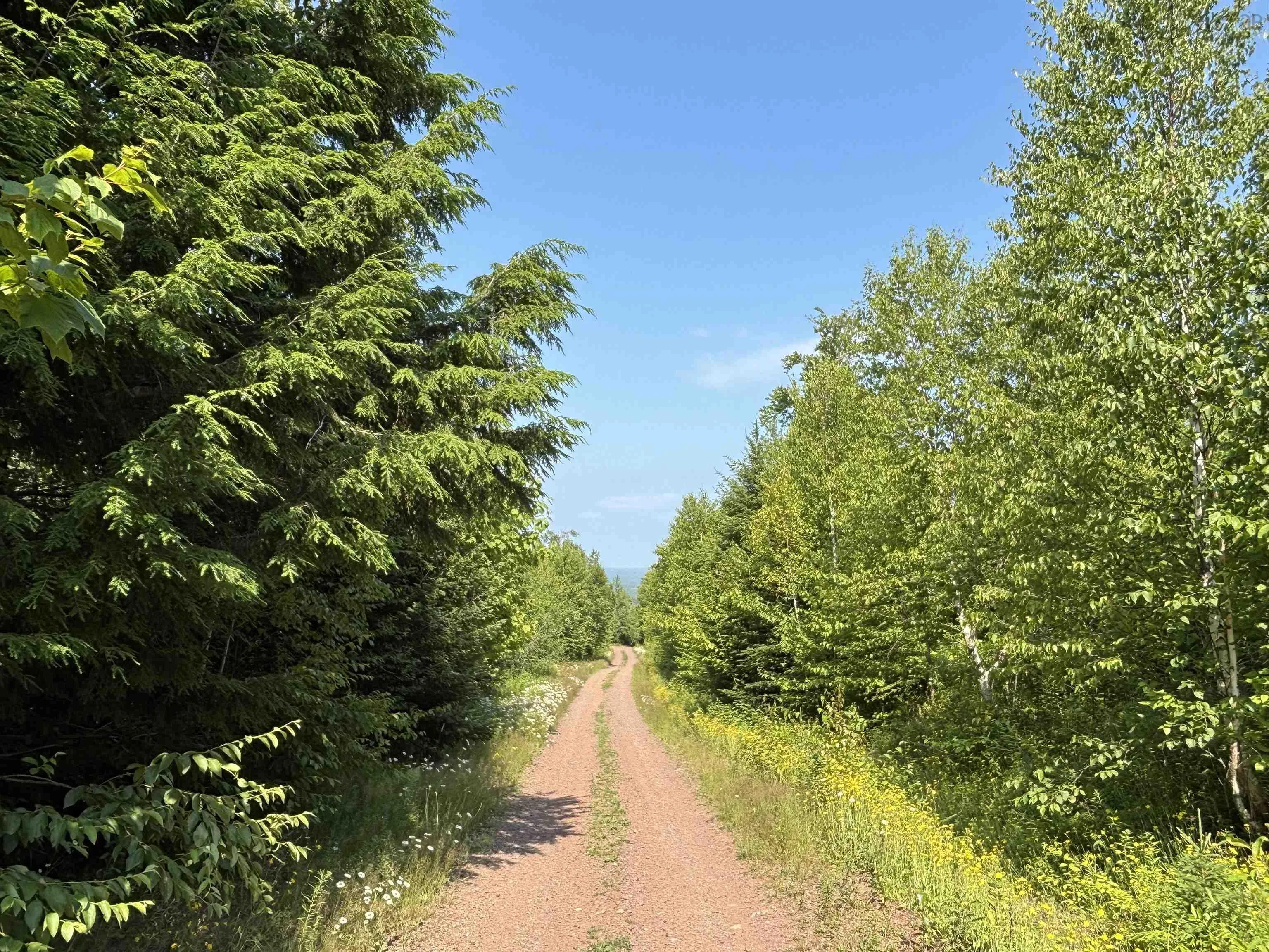 Scotsburn Road, College Grant Ns B0k 1r0, ,Land,For Sale,Scotsburn,202501542