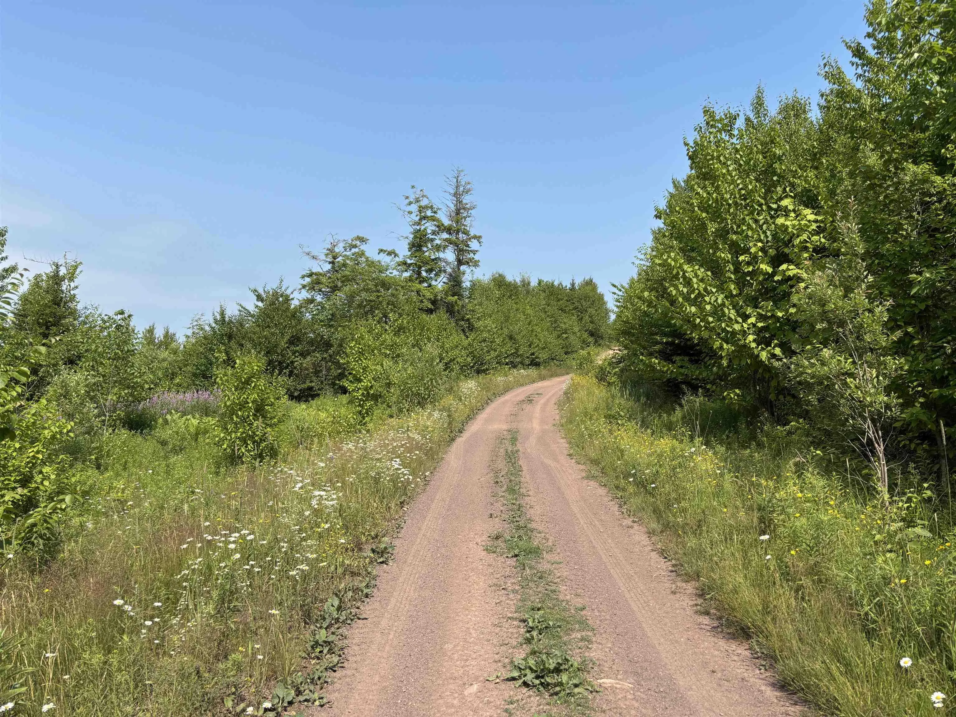 Scotsburn Road, College Grant Ns B0k 1r0, ,Land,For Sale,Scotsburn,202501542