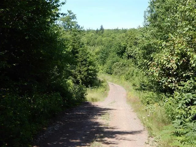 Scotsburn Road, College Grant Ns B0k 1r0, ,Land,For Sale,Scotsburn,202501542