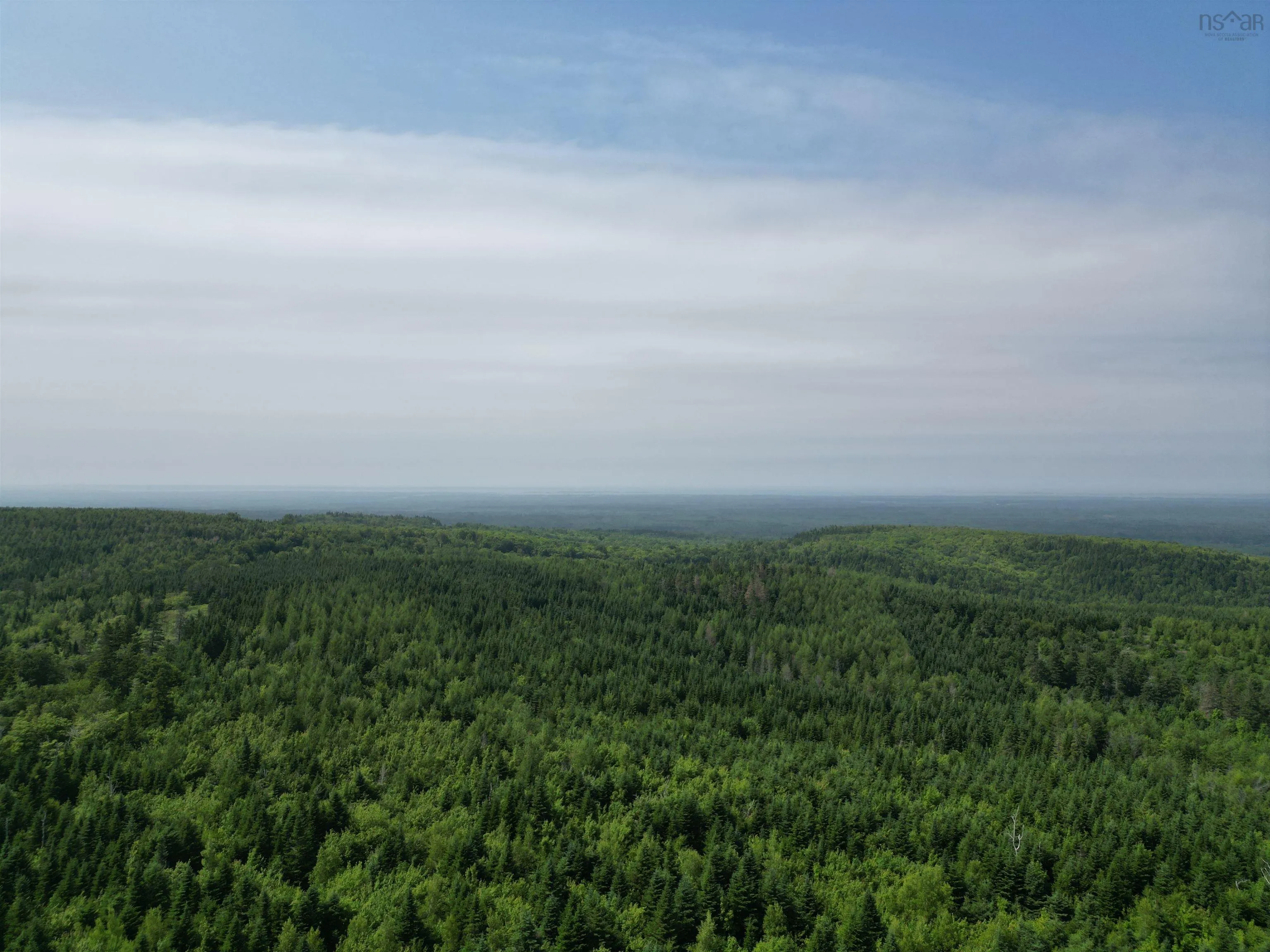 Scotsburn Road, College Grant Ns B0k 1r0, ,Land,For Sale,Scotsburn,202501542